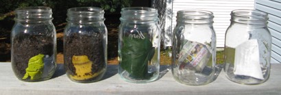 Explorations in Composting - Glass Jars
