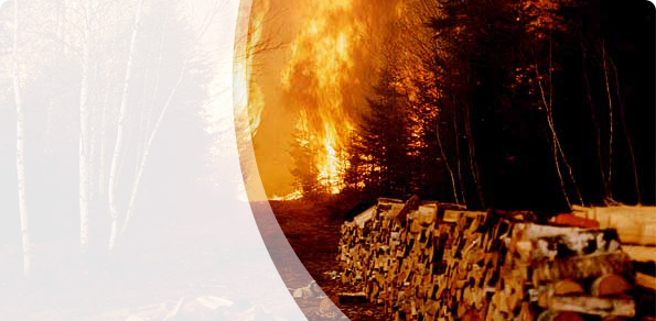 2024 forest-fire season in New Brunswick is now underway