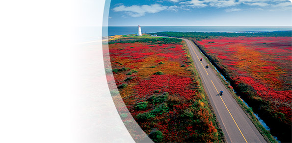 New Brunswick Travel Registration Program