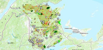 À qui profite l'exploitation de la forêt publique du Nouveau-Brunswick?