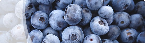 Promo-Blueberries