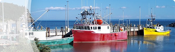Fisheries - New Brunswick