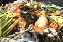 The Compost Recipe