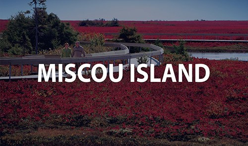 Miscou Island