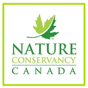natureconservancy_logo