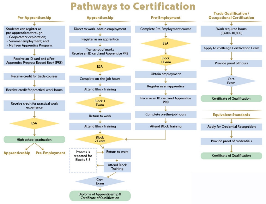 Pathways to cerfification - apprentices