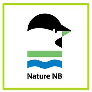 naturenb_logo