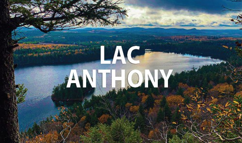 Lac Anthony